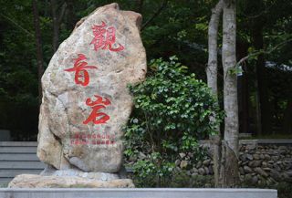 龙溪紫竹朝观音