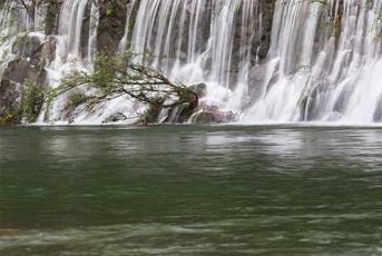虎啸峡-森林浴场