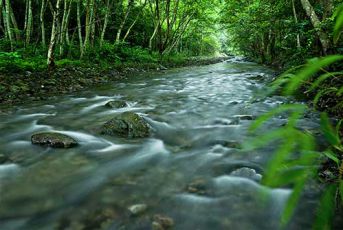 三爪仑-河水清冽