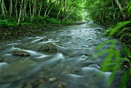 三爪仑-河水清冽