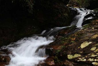 三爪仑-峡谷溪流