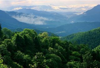 好山好水好靖安