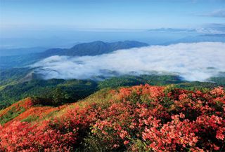 靖安白崖山风采