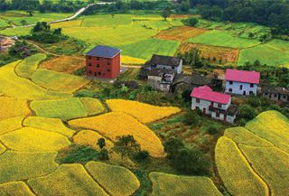 靖安乡村游推荐