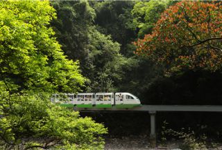 三爪仑观音岩景区荣获 &ldquo;2019年江西省十大最具发展潜力森林旅游目的地&rdquo;