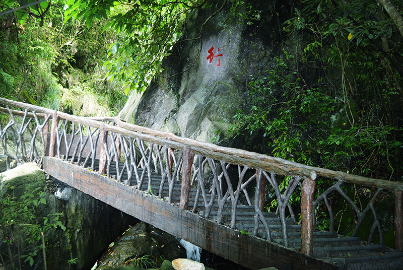 观音岩森林康养基地沿途特色-行字桥