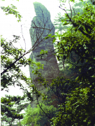 观音岩荣获&ldquo;2017年度&rdquo;市级森林体验养生基地